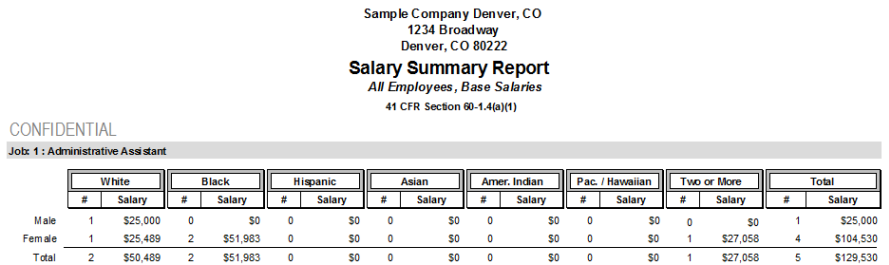 Salary Summary Report 3-5-13.png