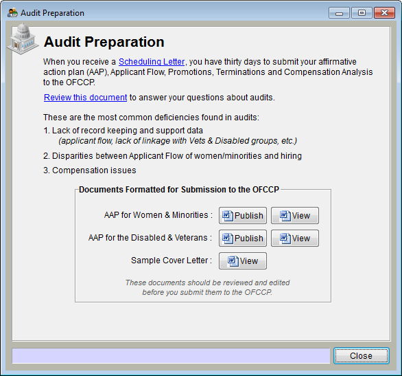 Audit Preparation Window.png