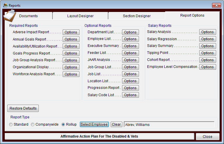 Report Options-Rollup with Name.png