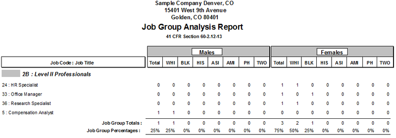File:Job Group Analysis Report JG 2B.png