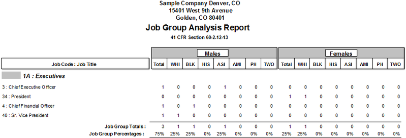 File:Job Group Analysis Report.png