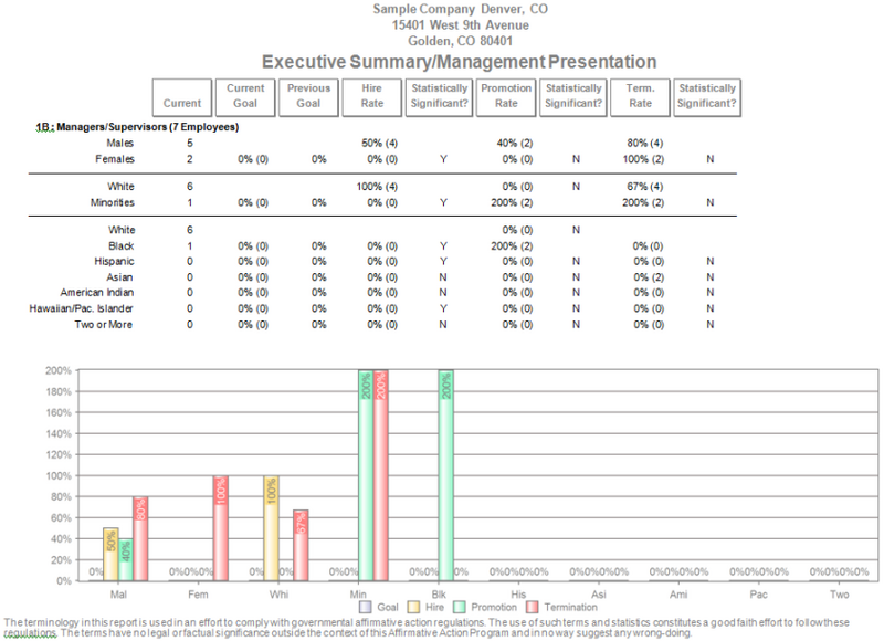 File:Executive Summary with Minorities Shown2.png